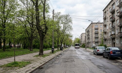 Obecność dzików w Łodzi: zasady bezpiecznego zachowania