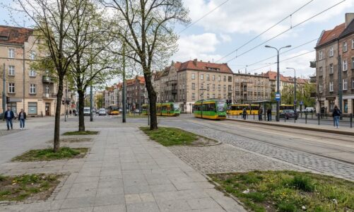 Ulica 23 Lutego w Poznaniu zyska nowe tereny zielone